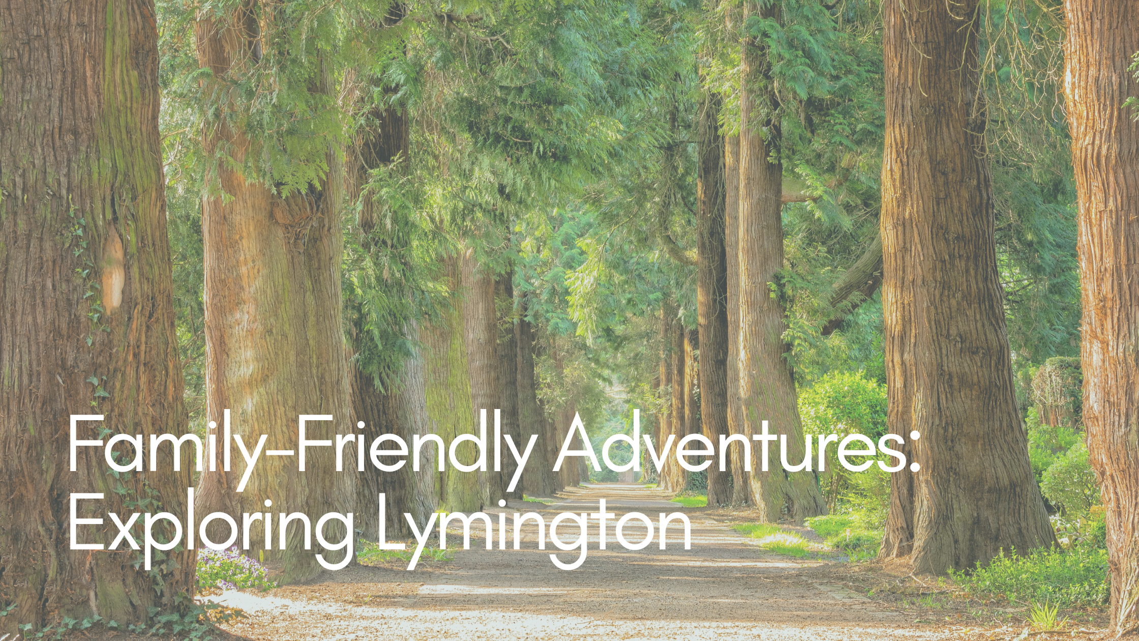 Family-Friendly Adventures: Exploring Lymington by Car