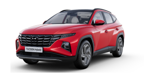 HYUNDAI TUCSON ESTATE at Everton Garage Lymington