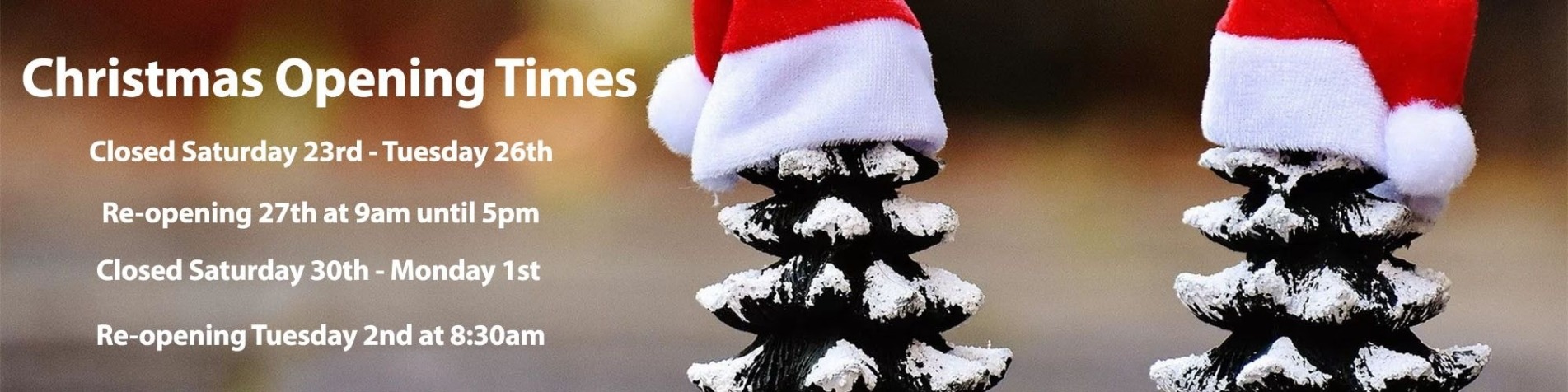 Christmas Banner